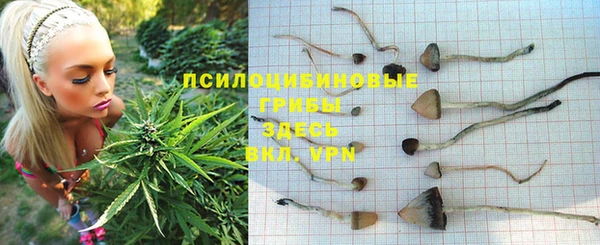 прущая мука Горнозаводск